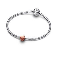 Charm Pandora Donna in Argento 794818C01 - 794818C01